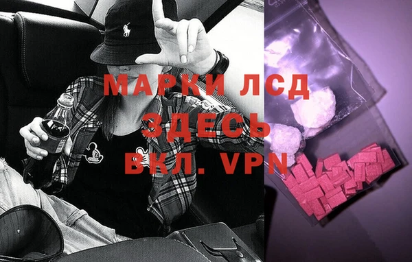 СК Снежинск