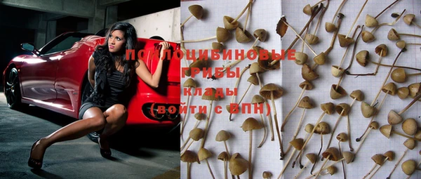 шишки Абдулино