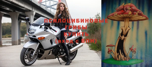 шишки Абдулино