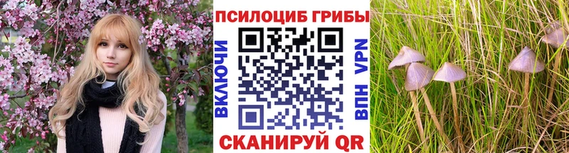 Псилоцибиновые грибы Psilocybine cubensis  Алагир 
