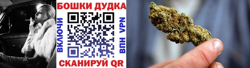 Конопля сатива  Алагир 